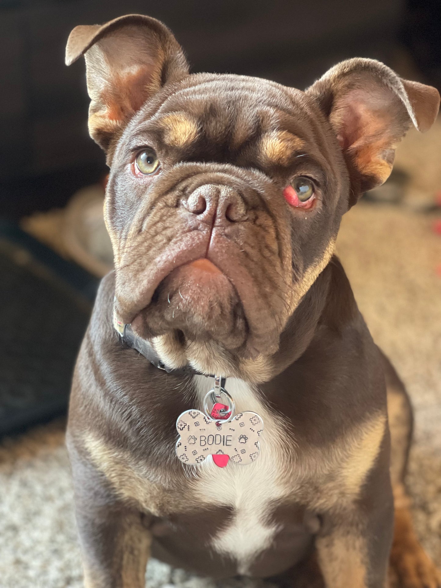Custom Dog Tag