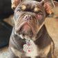 Custom Dog Tag